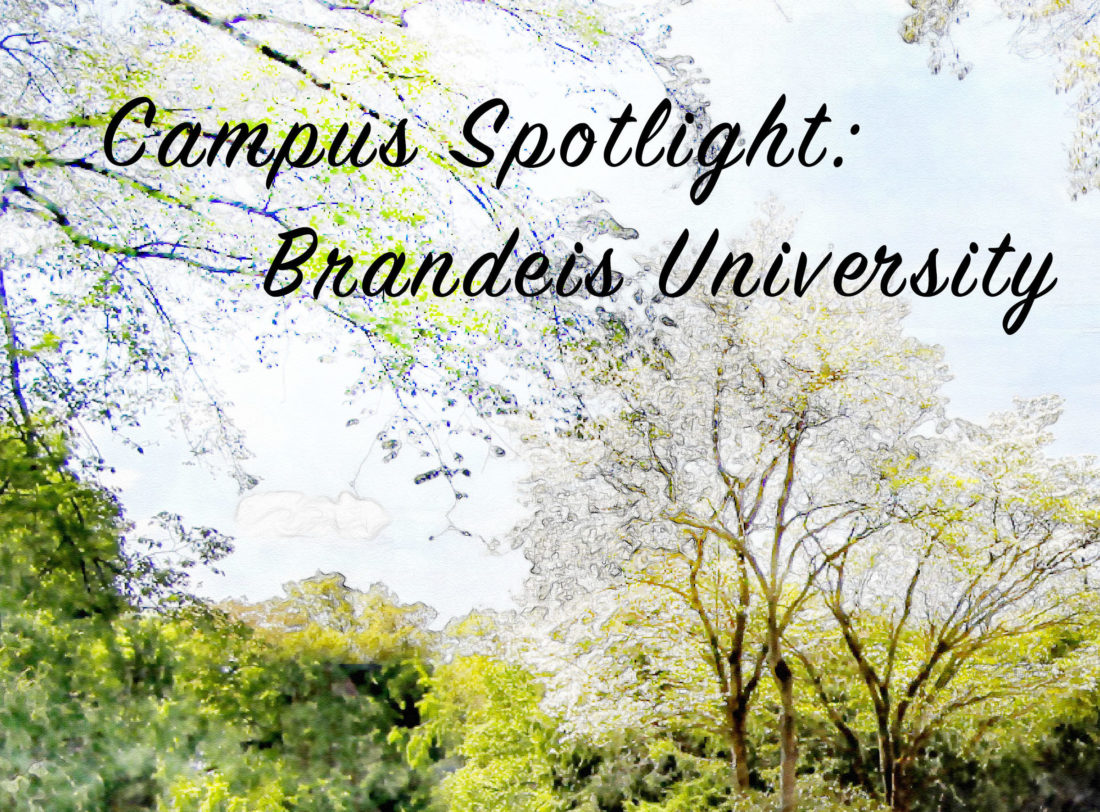 Campus Spotlight Brandeis University EuropeNow