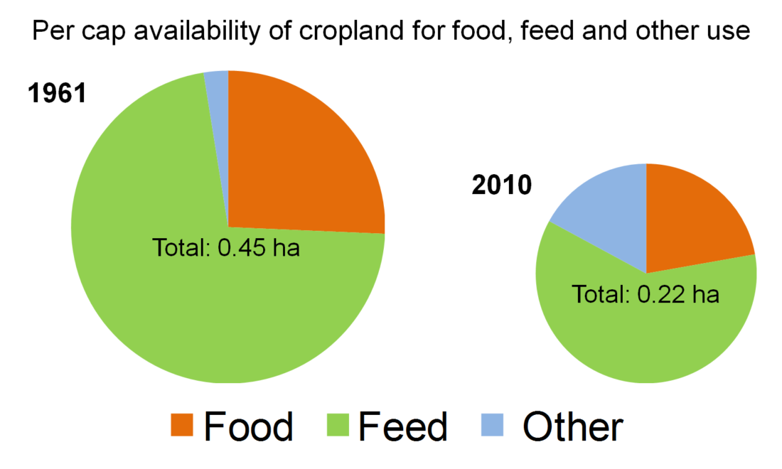 Sustainable Crop Production and Consumption The Role of Water Use for
