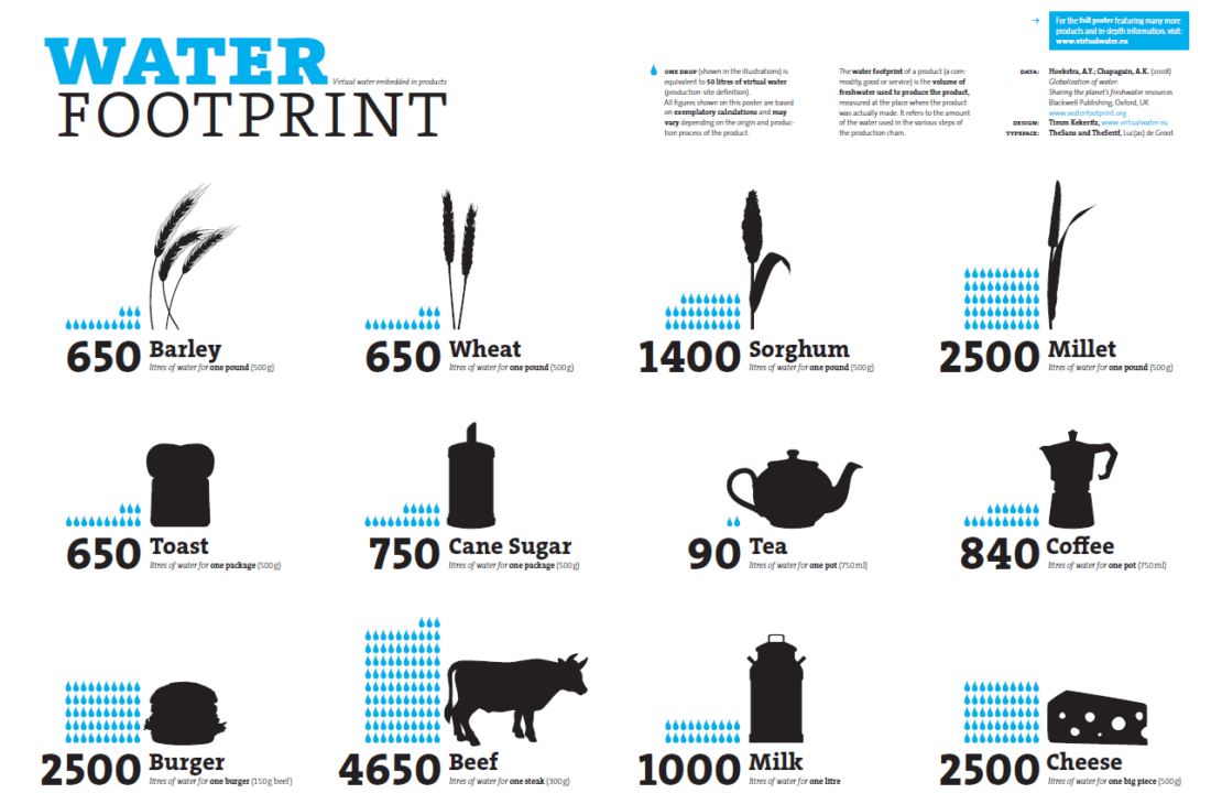 water footprint research paper