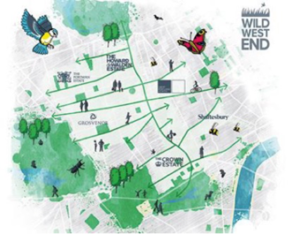 Urban Green Spaces: Combining Goals for Sustainability and Placemaking 