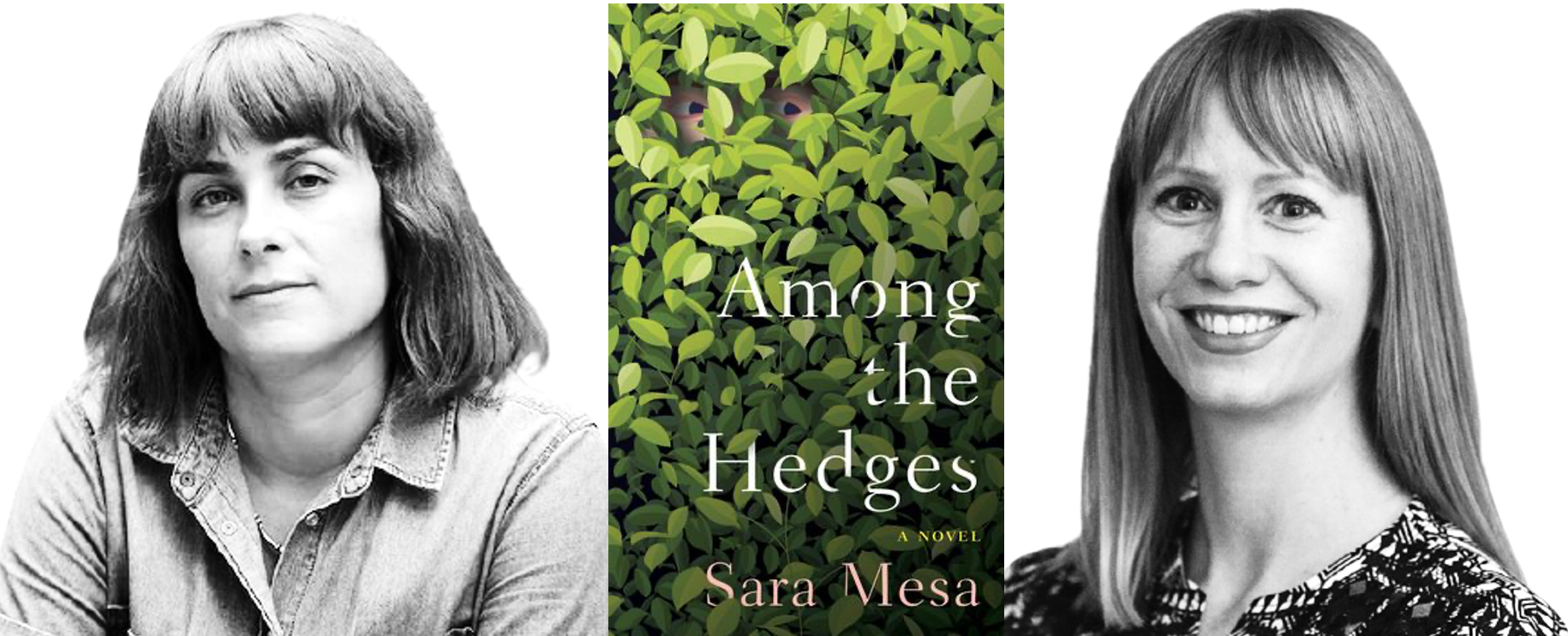 Among the Hedges by Sara Mesa – EuropeNow